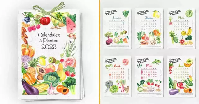 calendrier-fruit-legumes-planter