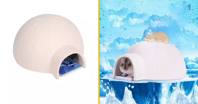 maison-refroidissement-hamster