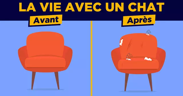 UNE_VIE_CHAT_AVANT_APRES-11