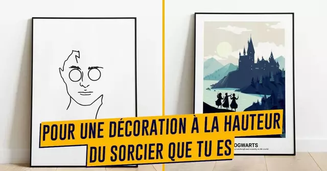 UNE_SHOPPING_AFFICHES_HARRY_POTTER