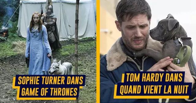 une-stars-adopter-tournage