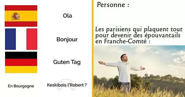 top memes bourgogne franche comte