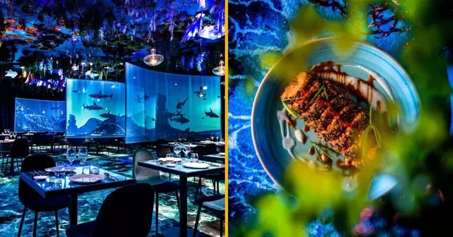 ephemera-restaurant-immersif-paris