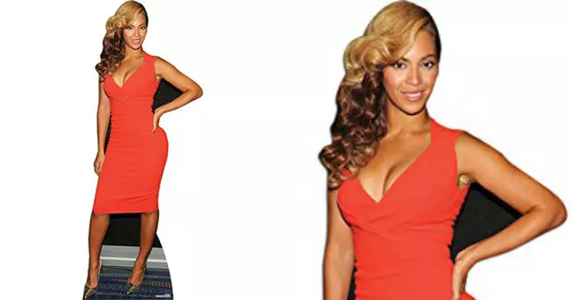 silhouette-carton-beyonce