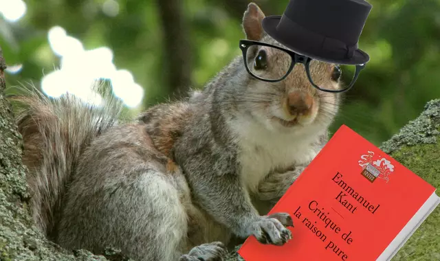 une_animauxinteligents