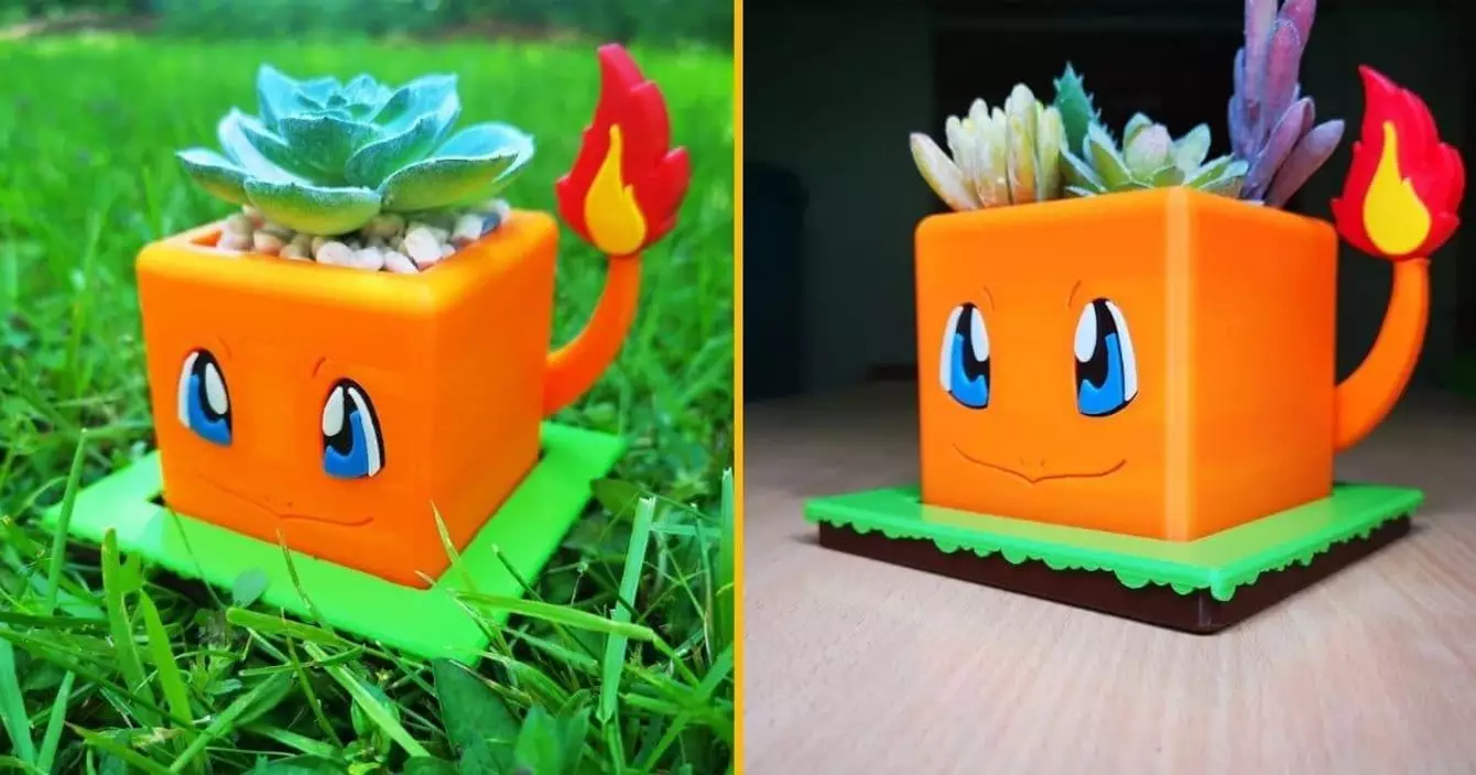 pot-fleurs-salameche