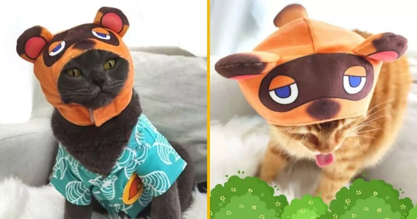 chapeau-chat-animal-crossing