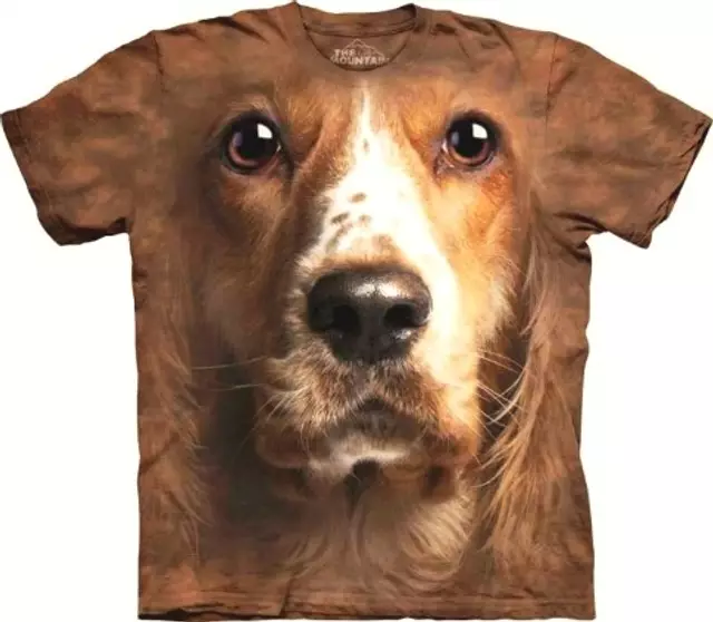 TEMPLATES INTERNAL USE ONLY