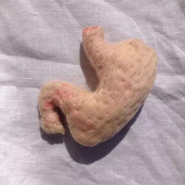 il_570xN.812204186_p7uw