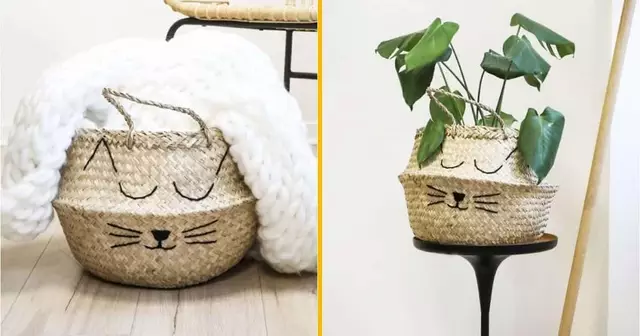 panier-paille-chat-serein